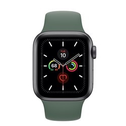 Носимый гаджет Apple Watch 5 Aluminum 40 mm (серый)