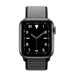 Носимый гаджет Apple Watch 5 Edition Titanium 40 mm Cellular