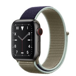 Носимый гаджет Apple Watch 5 Edition Titanium 40 mm Cellular