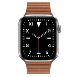 Носимый гаджет Apple Watch 5 Edition Titanium 44 mm Cellular