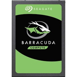 SSD Seagate ZA500CM1A002