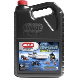 Моторное масло Amalie Pro Two-Cycle TC-W3 RL 3.78L