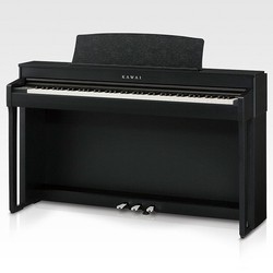Цифровое пианино Kawai CN39 (черный)