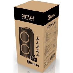 Аудиосистема Ginzzu GM-202