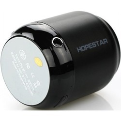 Портативная колонка Hopestar H8 (золотистый)