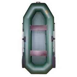 Надувная лодка Inzer 2 270 (зеленый)