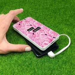 Powerbank аккумулятор ZIZ Flamingo 10000