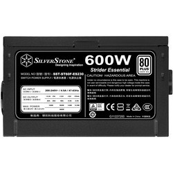 Блок питания SilverStone SST-ST60F-ES230