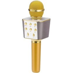 Микрофон WSTER WS-1688 (золотистый)