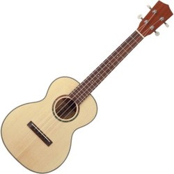 Гитара Prima M310T