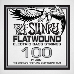 Струны Ernie Ball Slinky Flatwound Bass Single 100