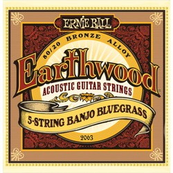 Струны Ernie Ball Earthwood 5-String Mandolin 80/20 Bronze 9-20
