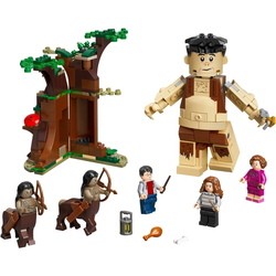 Конструктор Lego Forbidden Forest Umbridge's Encounter 75967