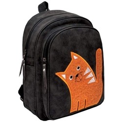 Школьный рюкзак (ранец) Fenix Plus 46063