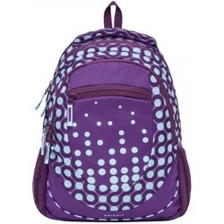 Школьный рюкзак (ранец) Grizzly RD-835-2