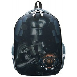 Школьный рюкзак (ранец) Silwerhof 830889
