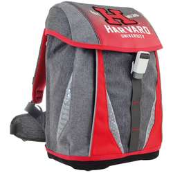 Школьный рюкзак (ранец) Yes H-32 Harvard