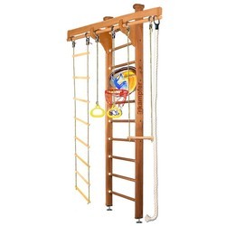 Шведская стенка Kampfer Wooden Ladder Ceiling Basketball Shield 2.67m
