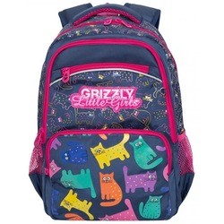 Школьный рюкзак (ранец) Grizzly RG-965-1