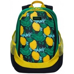 Школьный рюкзак (ранец) Grizzly RD-953-4 (черный)