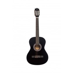 Гитара Terris TC-3801A 7/8 (черный)