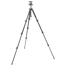 Штативы Manfrotto MK293A4/A0RC2