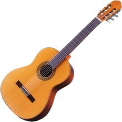 Гитара Raimundo R123S Spruce