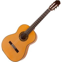 Гитара Raimundo R125F