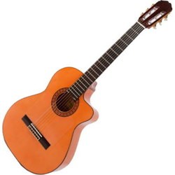 Гитара Raimundo R646FE