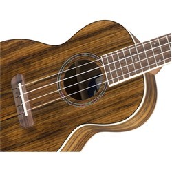 Гитара Fender Rincon V2