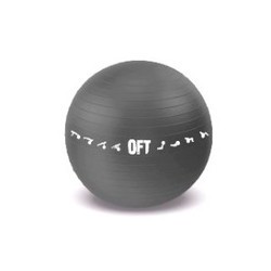 Мяч для фитнеса / фитбол Body Solid FT-GBPRO-75BK