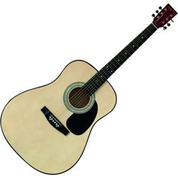 Гитара DENN DCG410