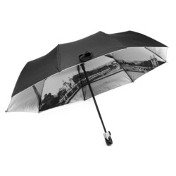Зонт Diniya 168 (черный)