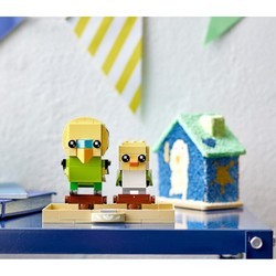 Конструктор Lego Budgie 40443