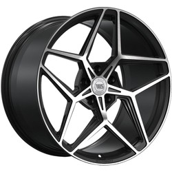 Диски WS Forged WS2125 11x20/5x120 ET43 DIA66,9