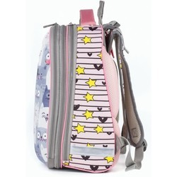 Школьный рюкзак (ранец) Brauberg 227843