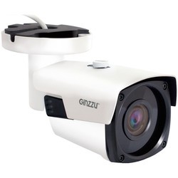 Камера видеонаблюдения Ginzzu HAB-2V01A