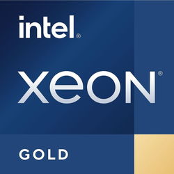 Процессор Intel Xeon Scalable Gold 3rd Gen