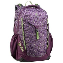 Школьный рюкзак (ранец) Deuter Ypsilon 3831019