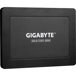 SSD Gigabyte GP-GSTFS31512GNTD-V