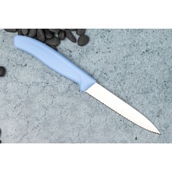 Набор ножей Victorinox 6.7116.34L3