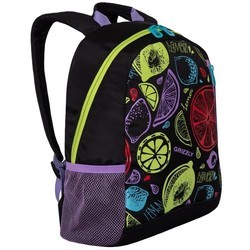 Школьный рюкзак (ранец) Grizzly RX-025-1