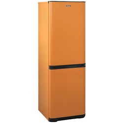 Холодильник Biryusa T320NF