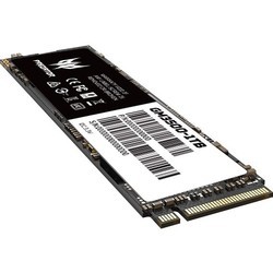 SSD Acer GM3500-1TB