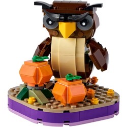 Конструктор Lego Halloween Owl 40497