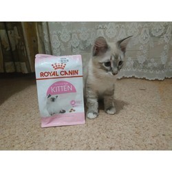 Корм для кошек Royal Canin Kitten 1.2 kg