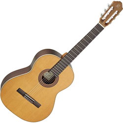 Гитара Ortega R190G