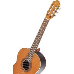 Гитара Ortega R190