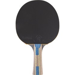 Ракетка для настольного тенниса inSPORTline Shootfair S6