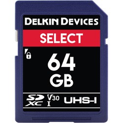 Карта памяти Delkin Devices SELECT UHS-I SDXC